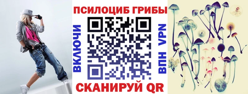 цены   Закаменск  Псилоцибиновые грибы GOLDEN TEACHER 